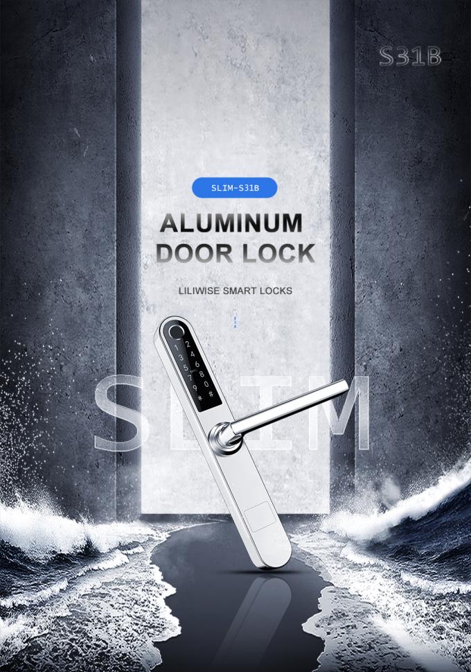 Alluminio moderno astuto dell'acciaio inossidabile delle serrature di porta della stanza per la famiglia/centro commerciale 0