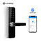 Serratura standard astuta della maniglia di Bluetooth America dell'impronta digitale di WiFi della serratura di porta di Bluetooth dell'europeo