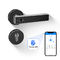 La serratura di porta astuta di Bluetooth via le chiavi meccaniche del App di Wifi sblocca per uso domestico