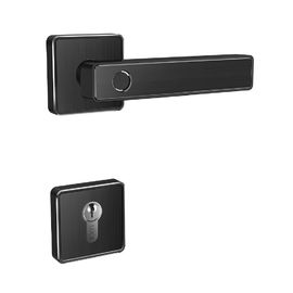 Porta di Smart del cilindro di Digital dell'allarme della serratura di porta della maniglia dell'impronta digitale di Wifi Bluetooth