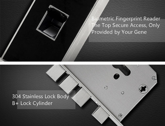 Serratura di porta del sensore dell'impronta digitale della mortasa, serratura di porta biometrica residenziale 2