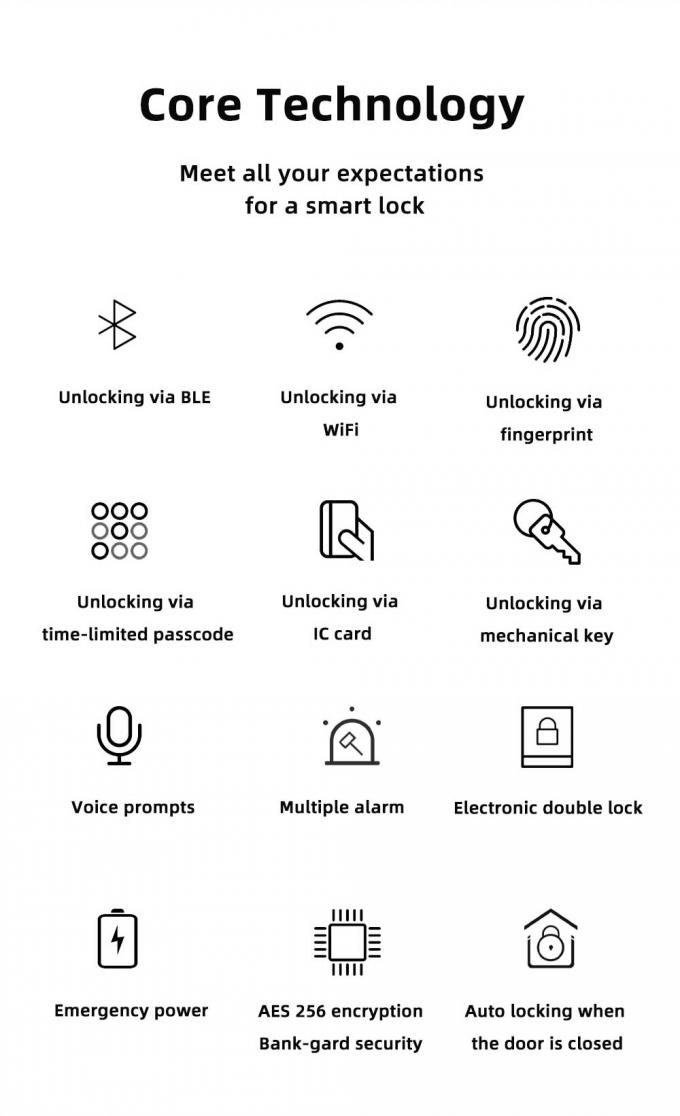 Impronta digitale astuta su ordinazione di codice di carta della serratura di porta di Wifi Digital 1