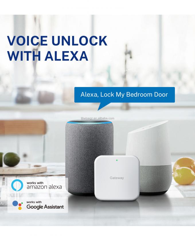 Tuya WiFi BLE Smart Serratura per Porta con Impronta Digitale e Tastiera 4