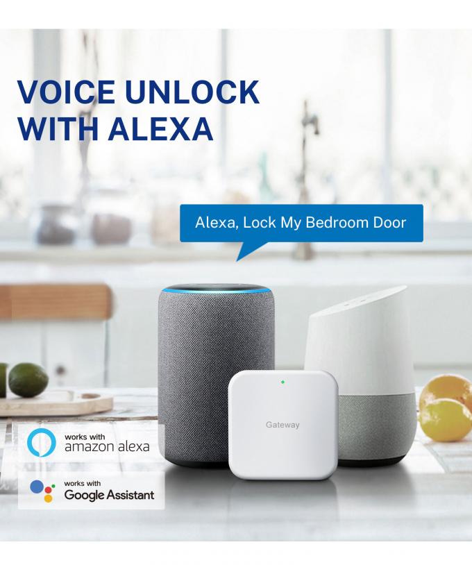 Liliwise Nuovo Disegno Serratura Fully-Automatic Digital Electronic Fingerprint Lock Tuya APP TTlock Smart Door Lock 24