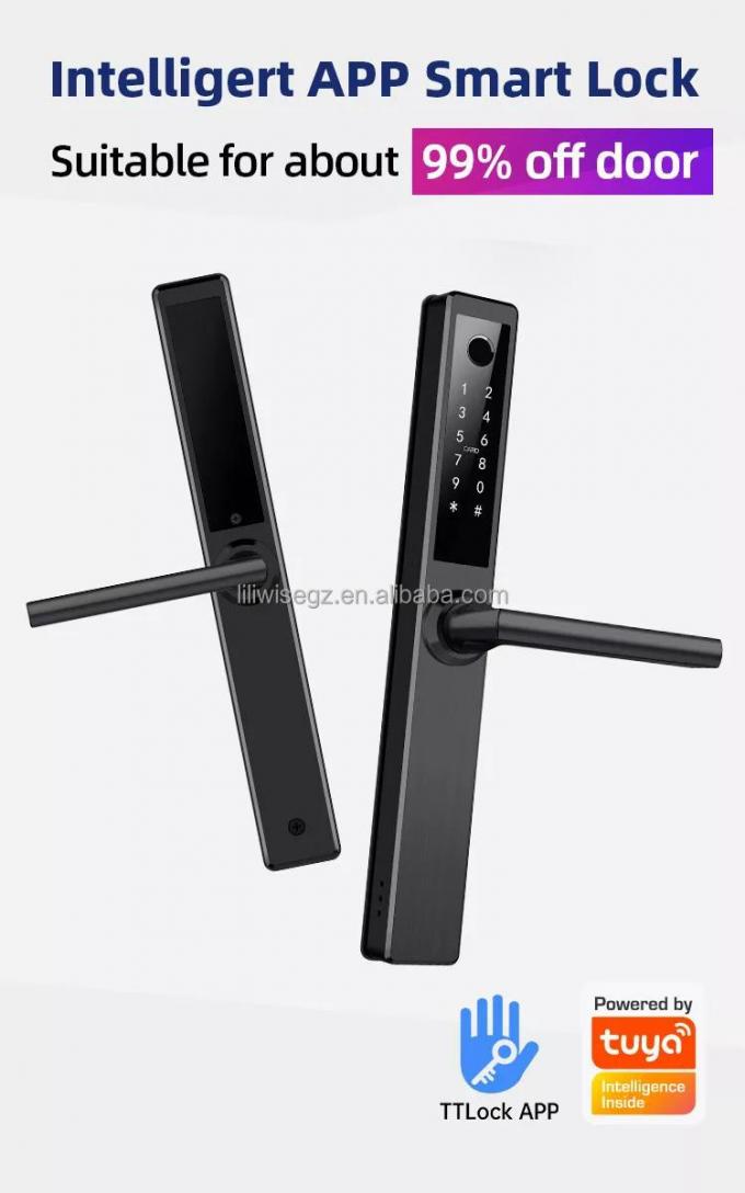 Liliwise Acciaio Inossidabile Chiusura Intelligente Impermeabile Esterno Tuya Ttlock Wifi Chiusura Smart Door Keyless Con Api 2