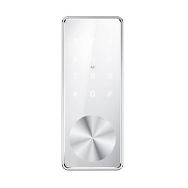 Dimensione compatta elettrica intelligente della serratura di porta di Bluetooth/della serratura porta della parte anteriore