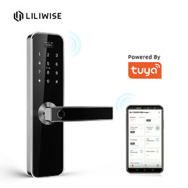 Serratura di porta astuta di Wifi della carta di parola d'ordine dell'impronta digitale di Tuya di porta di Airbnb della residenza elettronica delle serrature