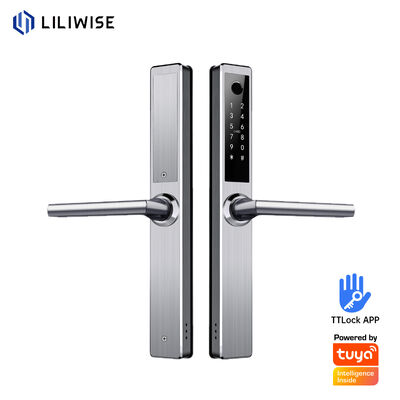 Liliwise Acciaio Inossidabile Chiusura Intelligente Impermeabile Esterno Tuya Ttlock Wifi Chiusura Smart Door Keyless Con Api