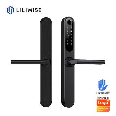 Liliwise impermeabile Alexa alluminio acciaio Ip66 Smart Door Lock impronte digitali Cerradura Electronica Ttlock Smart Lock con Wifi