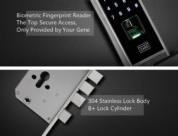 Argento della carta del touch screen MF1 della serratura di porta dell'impronta digitale di Digital/ottone rosso confusi 0