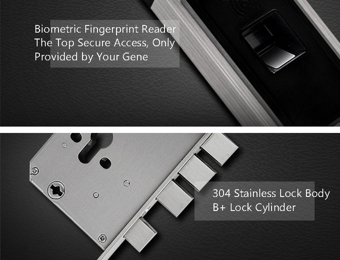 Sensore ottico moderno semplice della carta della serratura di porta dell'impronta digitale dell'acciaio inossidabile RFID 2